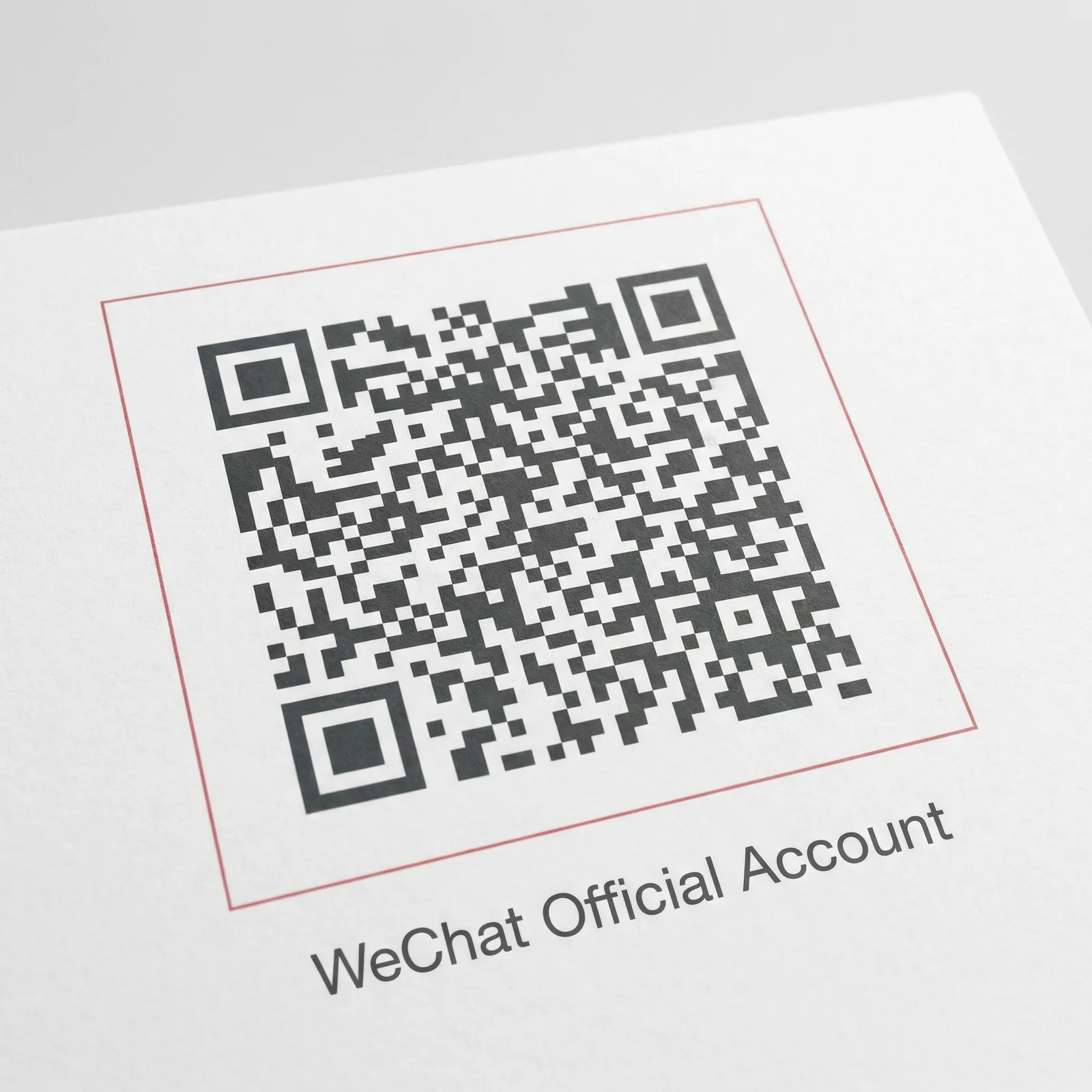 网红公众号二维码